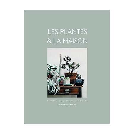 Les plantes & la maison: Succulentes, cactées, plantes aériennes et tropicales - Rose Ray