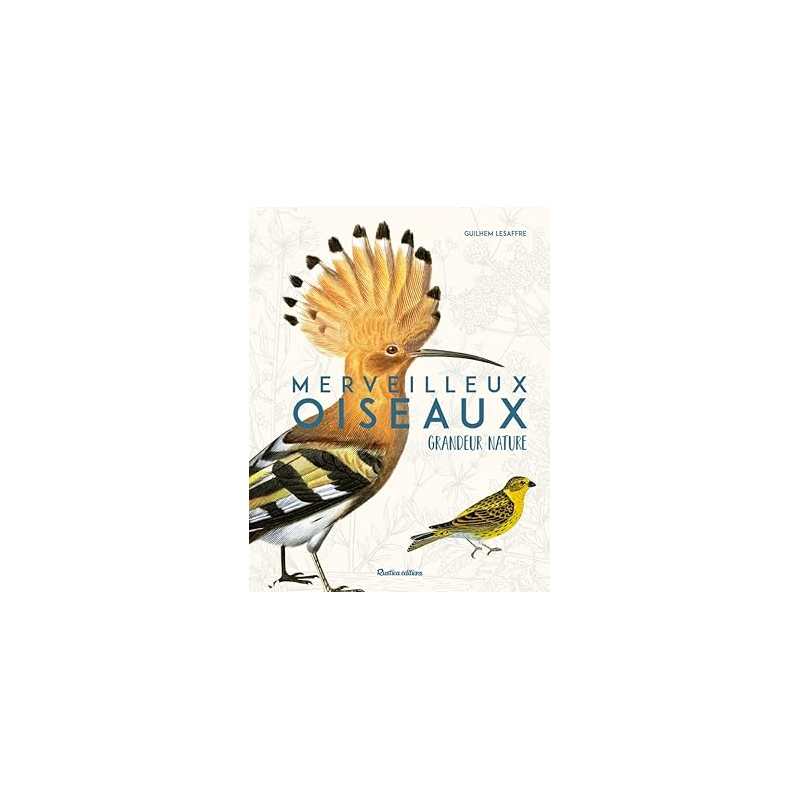 Merveilleux oiseaux grandeur nature - Guilhem Lesaffre