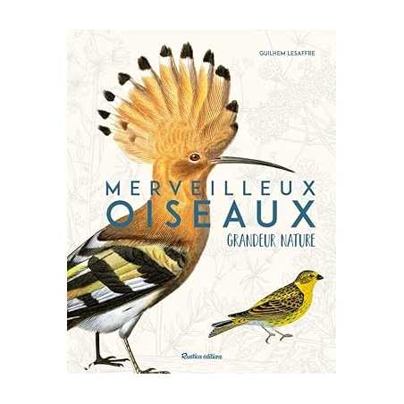 Merveilleux oiseaux grandeur nature - Guilhem Lesaffre