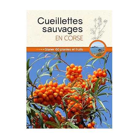 Cueillettes sauvages en Corse - Collectif