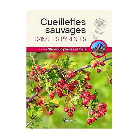 Cueillettes sauvages dans les Pyrénées - Collectif