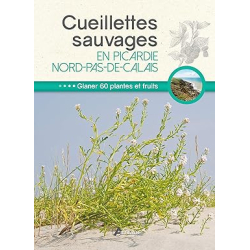 Cueillettes sauvages en Picardie-Nord-Pas-de-Calais - Collectif