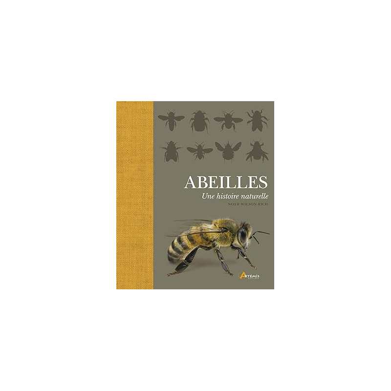 Abeilles, une histoire naturelle - Andrea Quigley