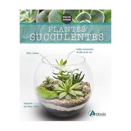 Plantes succulentes - Isabelle Charleuf-…