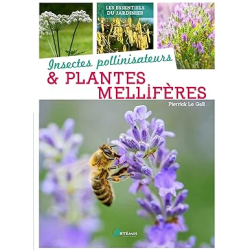 Insectes pollinisateurs et plantes mellifères - Pierrick Le Gall