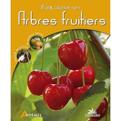 Arbres fruitiers - Horticolor