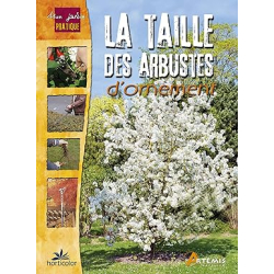 Les Bases de la botanique de terrain: Familles et genres de plantes à fleurs d'Europe tempérée - Rita Lüder