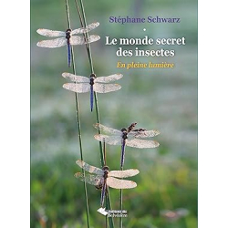 Le monde secret des insectes - Stéphane Schwarz