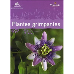 Guide des plantes grimpantes - Horticolor