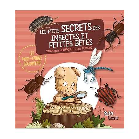 Les p'tits secrets des insectes et petites bêtes - Véronique Hermouet