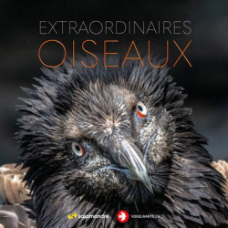 Extraordinaires oiseaux - Collectif