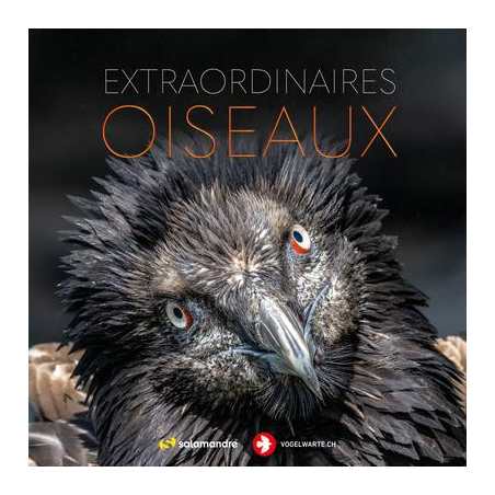 Extraordinaires oiseaux - Collectif