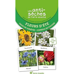 Les antisèches de Terre vivante : Fleurs d'été : Choix de variétés – Conseils de culture - Lapouge-Dejean