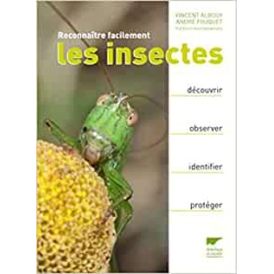 Reconnaître facilement les insectes: Découvrir