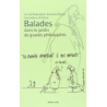 Balades dans le jardin de grands philosophes - De Brabandere Luc