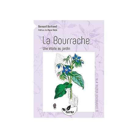 La Bourrache - Une étoile au jardin - Vol. 14 - Bertrand Bernard