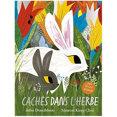 Cachés dans l'herbe : un livre animé – Album jeunesse à flaps – À partir de 4 ans - Donaldson/King-Chai