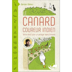 Le Canard coureur indien - Votre atout pour un potager sans limaces - Dekarz Damien