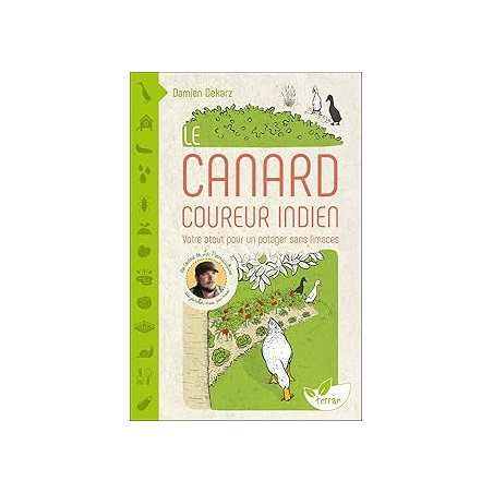 Le Canard coureur indien - Votre atout pour un potager sans limaces - Dekarz Damien