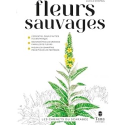 Les carnets du scarabée - fleurs sauvages - Chapsal Lucile