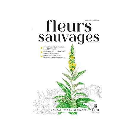 Les carnets du scarabée - fleurs sauvages - Chapsal Lucile