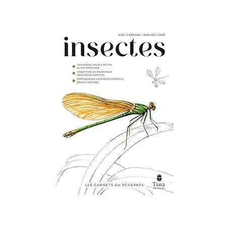 Les carnets du scarabée - insectes - Cardinal/Sane