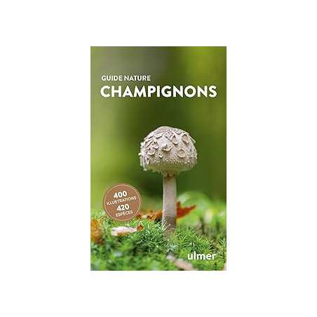 Champignons - Grunert