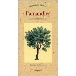 L'Amandier - Anne-Sophie Rondeau