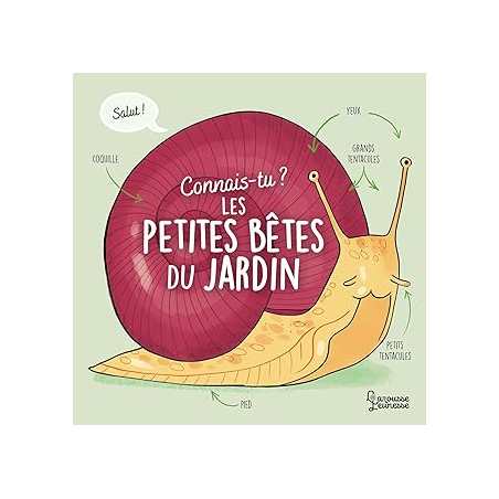 Connais-tu les petites bêtes du jardin ? - Besson/Ferrandez