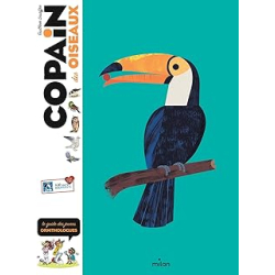 Copain des oiseaux : Le guide des jeunes ornithologues - Lesaffre/Flouw