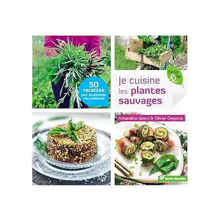 Je cuisine les plantes sauvages - Geers Amandine