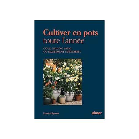 Cultiver en pots toute l'année - Cour