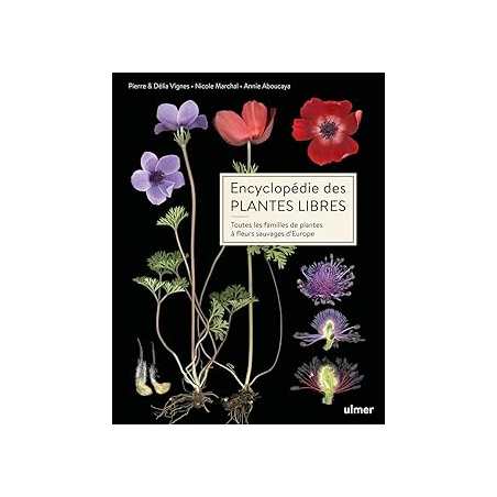 Encyclopédie des plantes libres - Toutes les familles de plantes à fleurs sauvages d'Europe - Vignes/Aboucaya