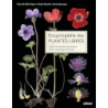 Encyclopédie des plantes libres - Toutes les familles de plantes à fleurs sauvages d'Europe - Vignes/Aboucaya