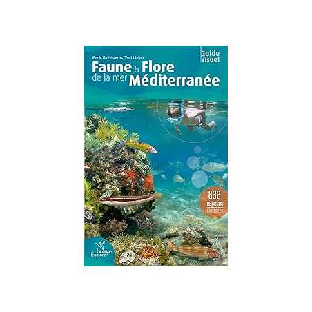 Faune et flore de la mer Méditerranée - Ballesteros/Llobet