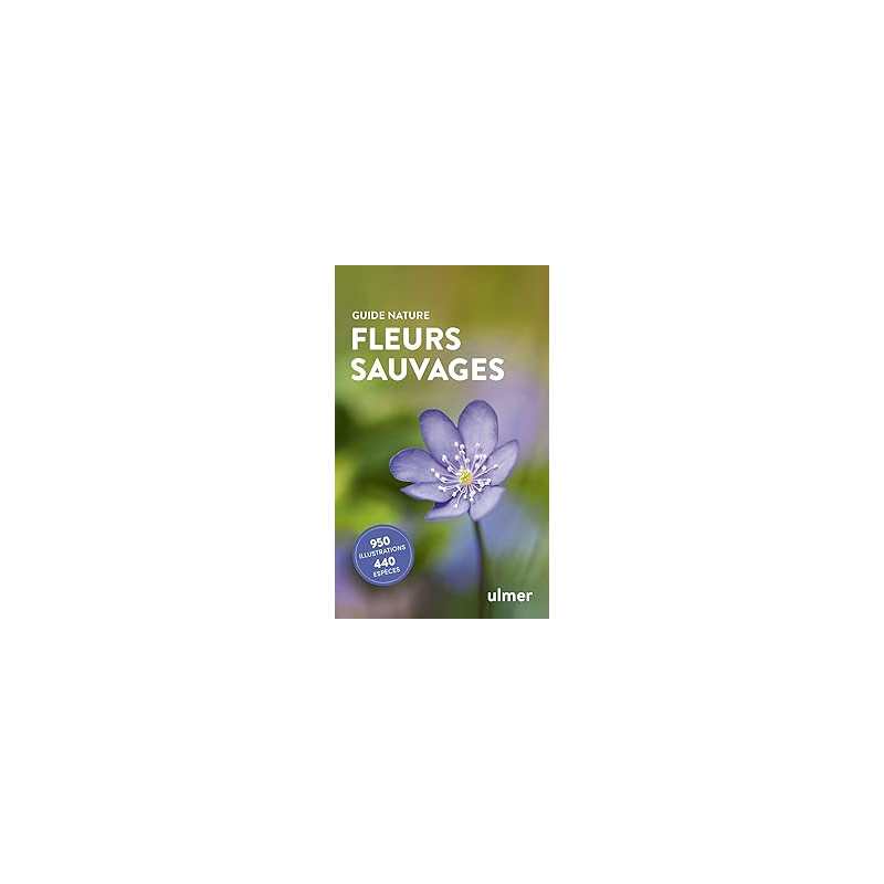 Fleurs sauvages - Kremer Bruno P.