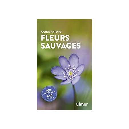 Fleurs sauvages - Kremer Bruno P.