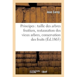 Principes : taille des arbres fruitiers