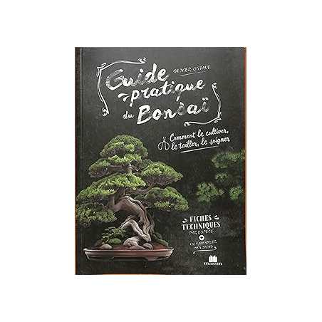 Guide pratique du Bonsaï : Comment le cultiver