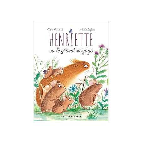 Henriette ou le grand voyage - Dufour/Frossard