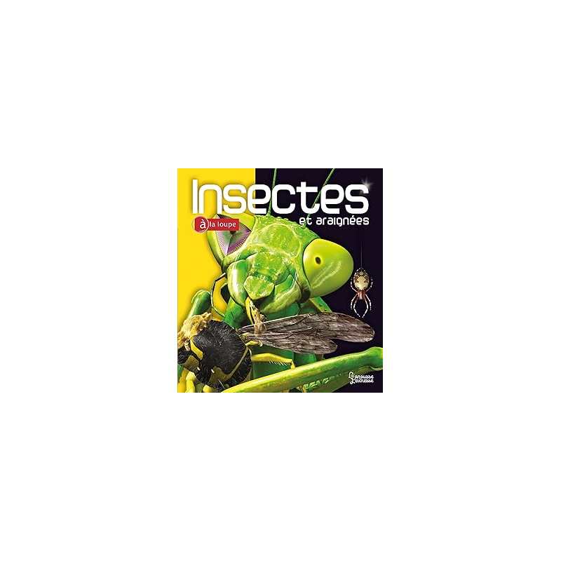 Insectes et araignées - Tait Noel