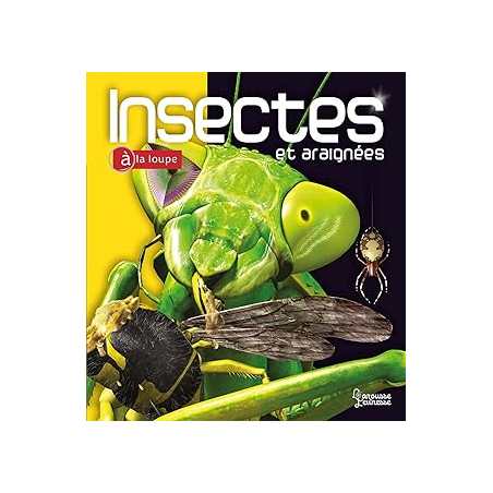 Insectes et araignées - Tait Noel