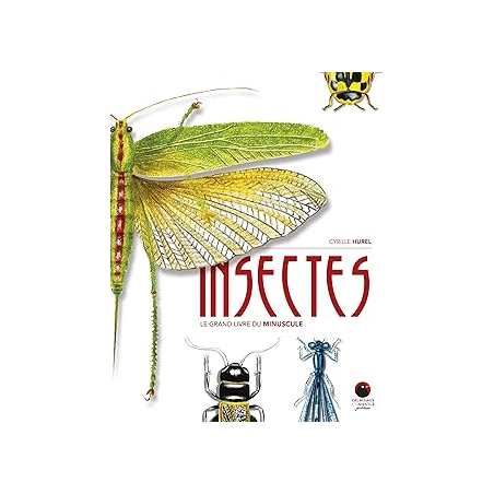 Insectes : Le grand livre du minuscule - Hurel Cyrille