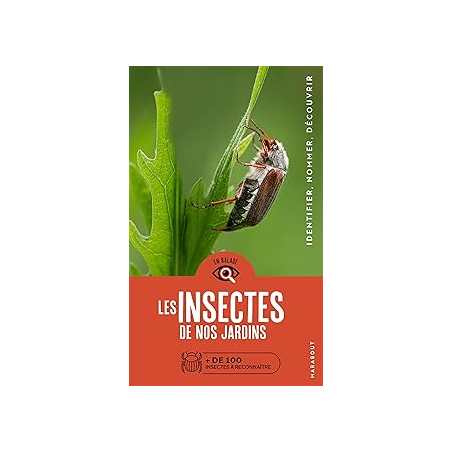 En balade - Les insectes de nos jardins - Gerstmeier Laurent