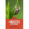 En balade - Les insectes de nos jardins - Gerstmeier Laurent