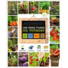 Les bons plans du potager - Armelle Cottenceau