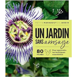 Un jardin sans arrosage - Collectif