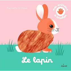 Le lapin - Michaud Raphaelle