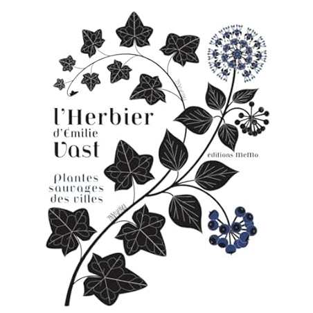 L'herbier d'Emilie Vast : Plantes sauvages des villes - Vast Emilie