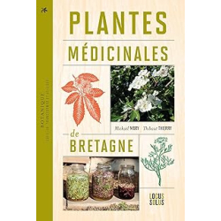 Plantes médicinales de Bretagne : Cueillir